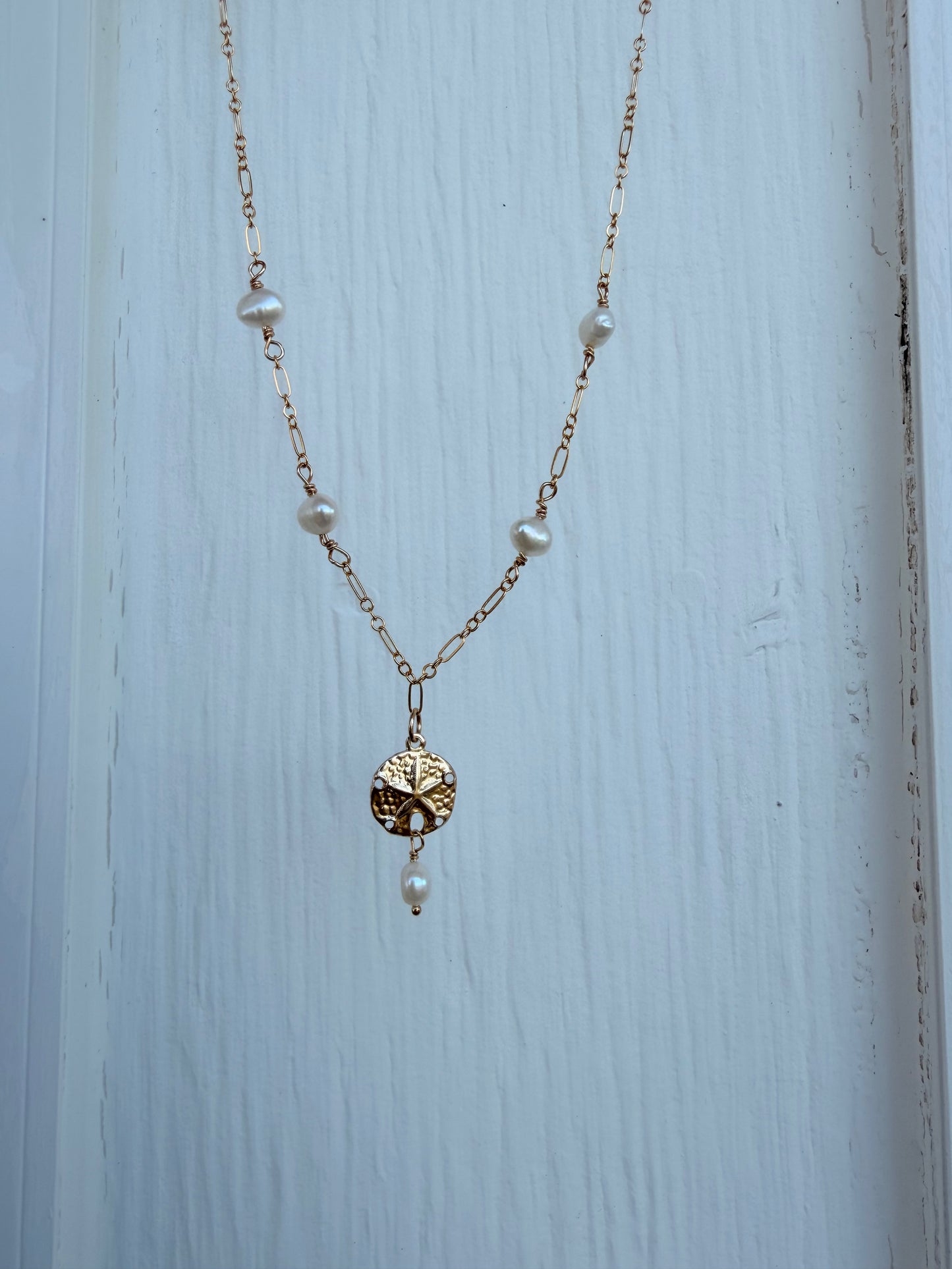 Pearly sand dollar