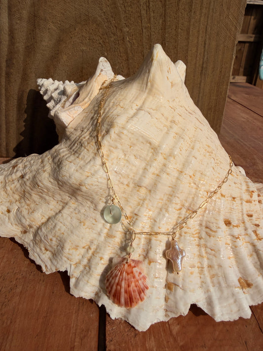 Seashell charm necklace