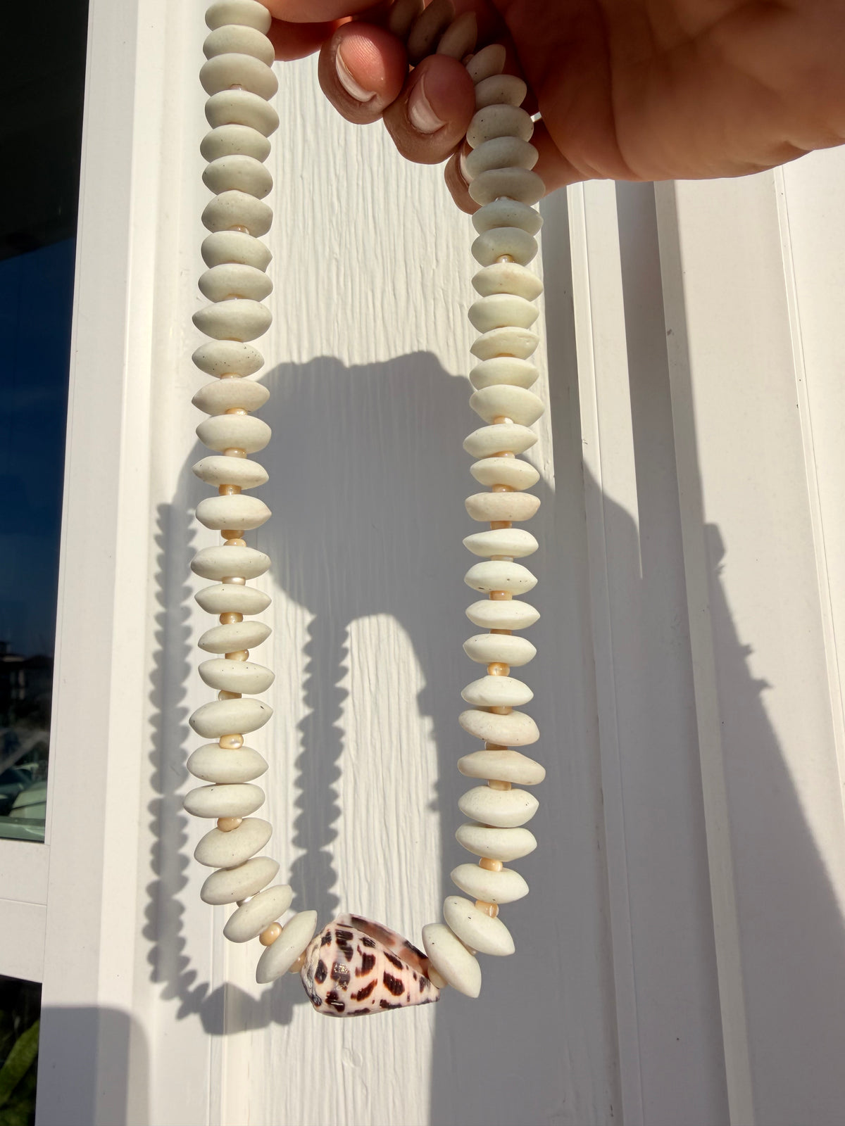 Fall beachcomber