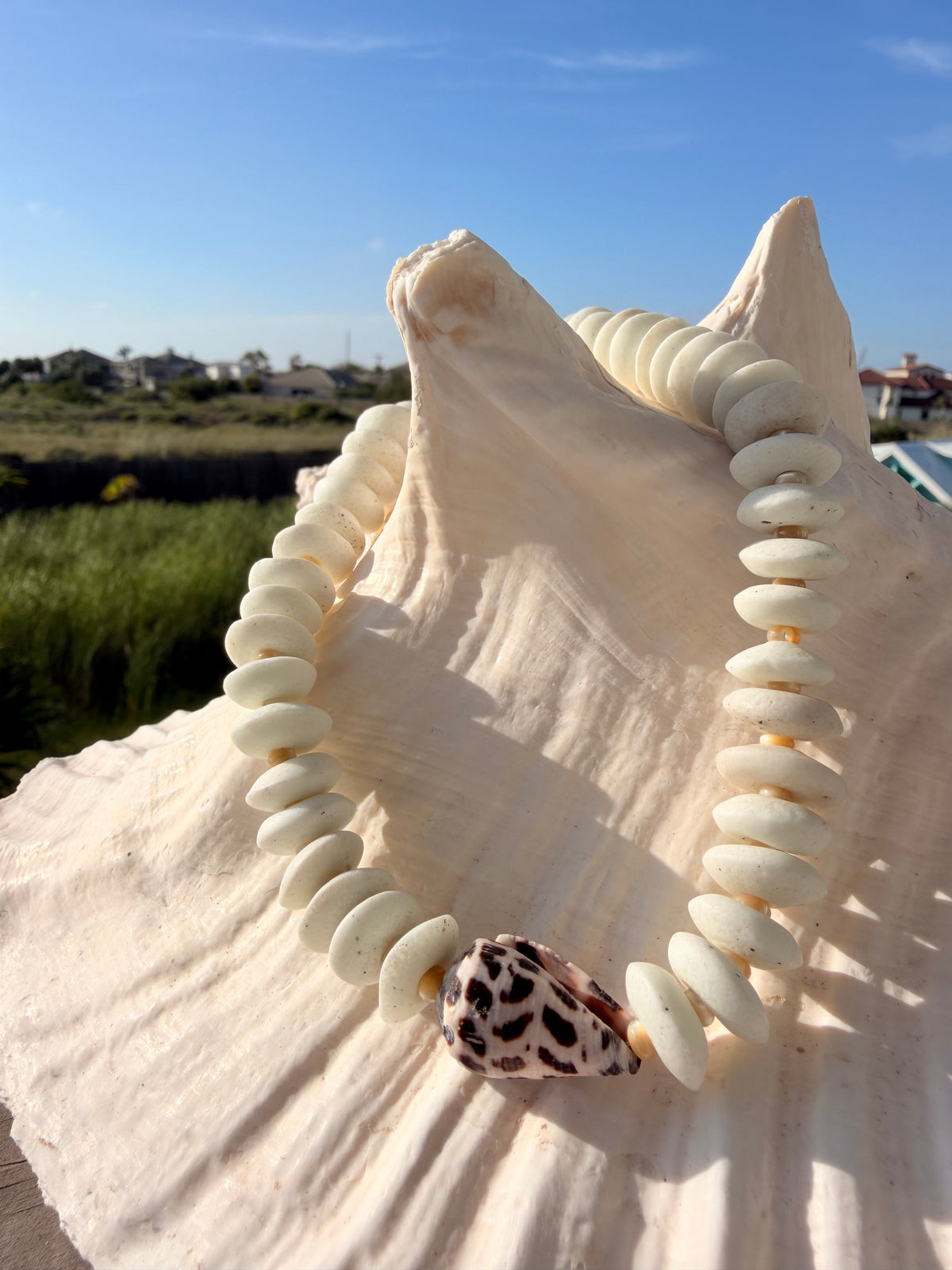 Fall beachcomber