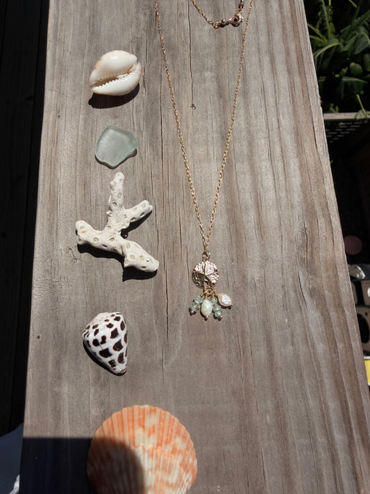 Gemmie sand dollar