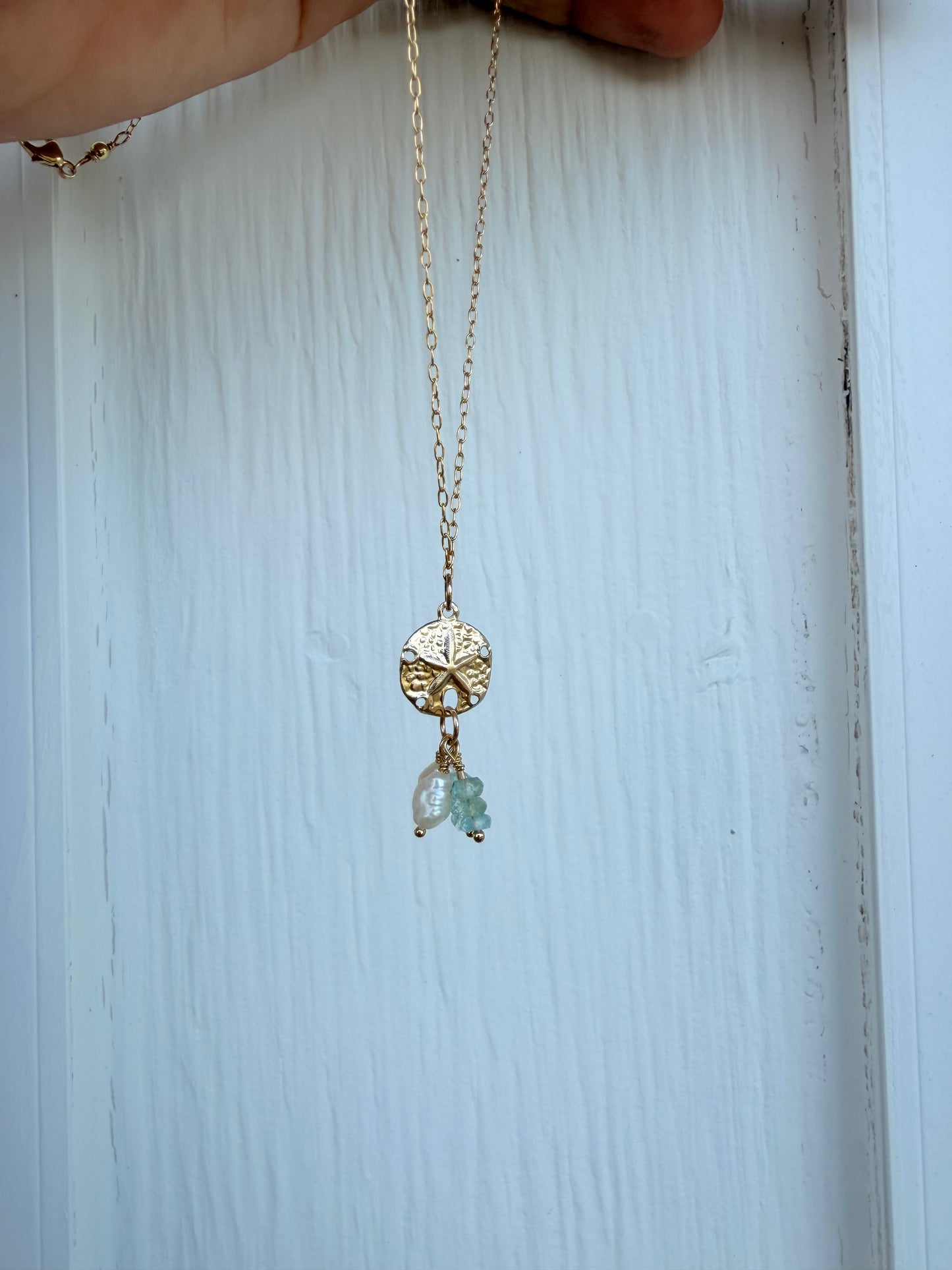 Gemmie sand dollar