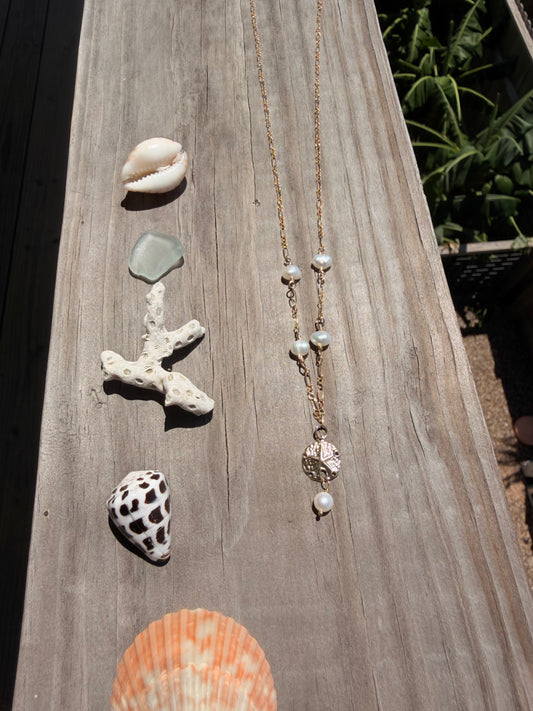 Pearly sand dollar