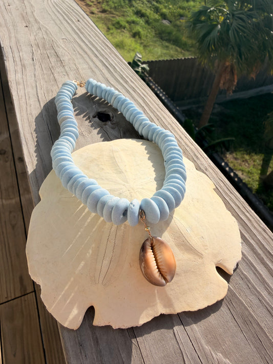Beachcomber cowrie