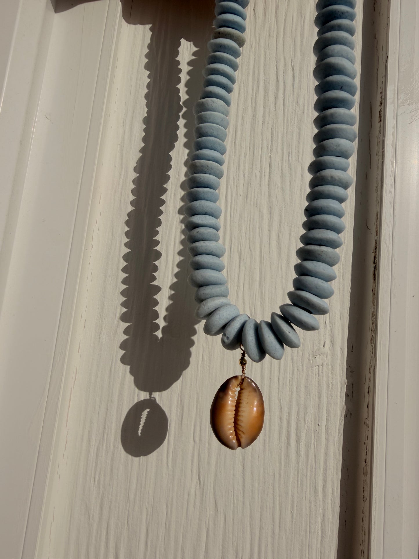 Beachcomber cowrie