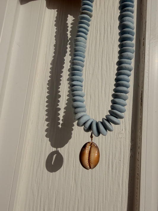 Beachcomber cowrie